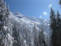 Skifahren im Neuschnee (17)