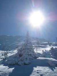 Skifahren im Neuschnee (7)
